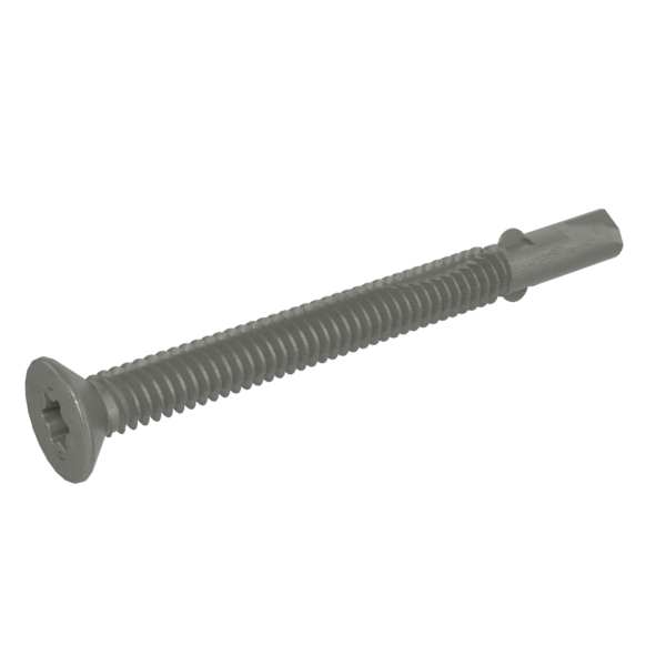 SFW14234P — Star Drive Wafer Head Screw with Wings